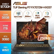 ASUS TUF Gaming F17 FX707ZM-HX037 인텔 12세대 i7-12700H RTX3060 윈도우11, 메카 그레이, FX707ZM, 코어i7, 1TB, 32GB, WIN11 Pro