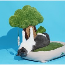 고양이 스크래쳐 침대 쇼파 방석 놀이터 장난감 쉬는곳 캣닢 소나무 무릉도원, 대형, Free