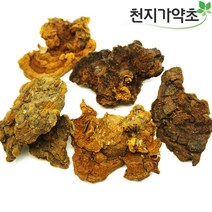 국내자연산 찔레상황버섯 100g 찔레버섯