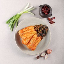 전통 국산 100프로 전라도 총각김치 당일제조 달랑무우김치 남도김치 달랑무, 100프로국내산총각김치10kg, 1개