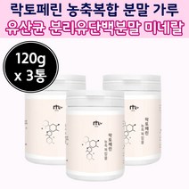 물에 타먹는 락토 패린 분말 파우더 단백질 란토 페린 페림 모유 유산균 와일드 망고 단백질 우 유 단백 추출 분말 사균체 파우데 베린 락토바실러스 루테리
