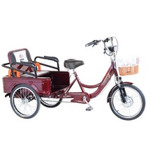 세발 인력거 자전거 관광지 성인 2인 3인 체험 용품, 10A48V 배터리 이동 25-30km 48V, 기본