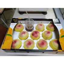 [햇사레복숭아] 과수원직판 3kg, 1박스, 3kg(11~12과)