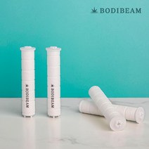 더블클린 세디먼트 필터 (4개입) 녹물 제거바디빔163230, 세디먼트 리필필터(4개입)