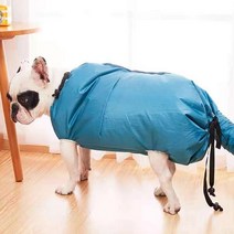 펫드라이룸 강아지 고양이 드라이기 반려동물 반려견 털말리는 기계 냉동고 상자 다목적, c