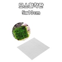 영아쿠아 모스 활착판 수초 활착 (5x10cm)