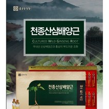 종근당 천종산삼 배양근 20mlx30병 종근당 홍삼 농축액 함유 직장상사 부모님 명절 선물세트, 단품, 단품