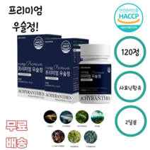 아르채움 프리미엄우슬정60정 우슬추츨 참당귀 보스웰리아 어골 상어연골 참당귀 해조 녹색입홍합 사포닌 국내산 비타민 보스엘리아 올리고파우더 보스왤리아 우술 우솔 정제포도당, 60정, 2통