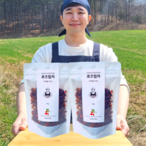 1+1 반듯한청년 로즈힙 티 100g 2봉 리필팩 차