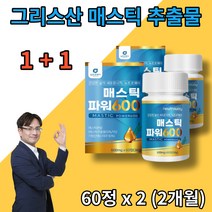 그리스 매스틱 검 메스틱 추출 분말 mastic gum 직장인 남성 여성 중년 시니어 부모님 30대 40대 50대 60대 건강 영양 관리, 2개