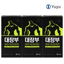 유유제약 대장부 아르기닌 5000mg 고함량 L 아르기닌 마카 아연 타우린, 15포, 3박스