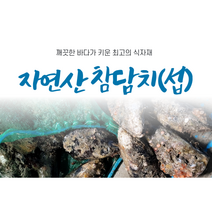 자연산 참담치(섭) 1kg, 1개