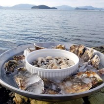 당일조업 산지직송 생굴 석화 하프쉘 통영 굴무침, 석화(각굴) 5kg