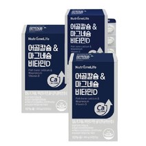 뉴트리원 임영웅 어골칼슘 마그네슘 비타민D 건강의 척도 뼈 뼈 뼈 칼슘, 2개