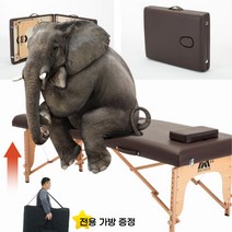 마사지 베드 접이식 휴대용 반영구 미용 안마 침대 원목, 브라운