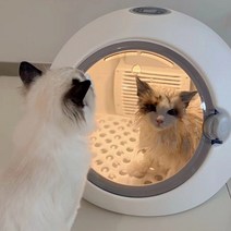 반려동물 드라이룸 가정용 강아지 고양이 드라이기 털 드라이어 살균소독, 화이트