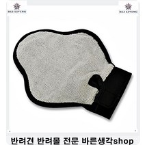고양이사료파는곳 중성화수술한고양이체중유지돕는 3개 고양이사료추천 애완용고양이 고양이쇼핑몰 길고양이먹이 고양이가좋아하는음식