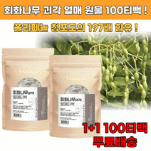 회화 나무 열매 1+1 100티백 추출물 괴각 40대 50대 60대 엄마 생신 선물, 2+2