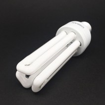 오스람 듀럭스타 20W 삼파장 램프 장미전구, 전구색