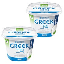 풀무원다논 그릭요거트 플레인 450g x 6개, 2개, 400g