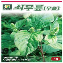 약초 씨앗 우슬초(쇠무릎) 1g