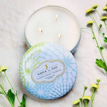 [KT알파쇼핑]Soi Company USA 소이캔들 와이드틴 아로마캔들 595g, 발리티크_W451E61