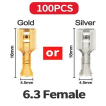 100 개/몫 2.8/4.8/6.3mm 남성과 여성 스페이드 압착 단자 골드 황동/실버 자동차 스피커 전기 와이어 커넥터 Termin, Sliver, 6.3Female - 100PCS