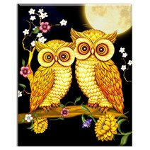 FASEN DIY 보석십자수 캔버스 형액자 세트 40 x 50cm, 40*50 cm, K005 밤부엉이