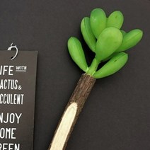 보테니컬 펜 - 코틸레돈, 색상