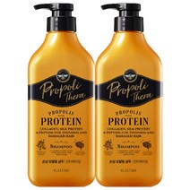 엘라스틴 프로폴리테라 안티에이징 건조하고 손상된 모발용 샴푸 500ML / 프로폴리스 추출물 함유, 2통