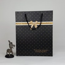 고급 대형 쇼핑백-선물 코팅 디자인 종이가방 백SAU61