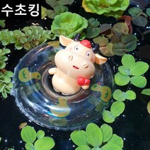 [수초킹] 부상수초 + 튜브세트 / 수초 구피 구피수초 어항 목련물배추 피시티아 미니물배추 살비니아 나탄스 쿠쿠라타 긴코 만강홍 부레옥잠, 튜브포함, 5종 30촉