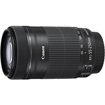 Canon 망원 줌 렌즈 EF-S55-250mm F4-5.6 IS STM APS-C 대응 EF-S55-250ISSTM