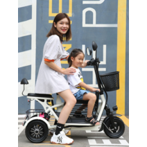 3인승 초경량 전기자전거 통근 등하원 3륜 접이식 자전거, 600W 듀얼전기자전거 12A/30km 3인승