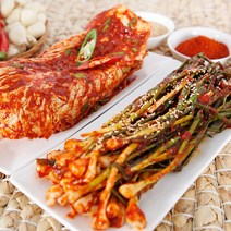 세트상품 대전 원조 조풍연실비김치 배추김치1kg+파김치500g, 세트, 배추김치 1kg + 파김치 500g