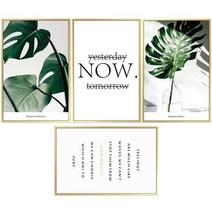몬스테라 나뭇잎 감성 인테리어스티커 꾸미기 DIY 포인트 데코 어린이방 시트지, NOW