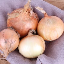 유기농 흰양파 자색양파 4kg 2023년산, 1개, 유기농 일반양파 4kg