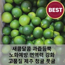 고품질 새콤달콤 과즙 듬뿍 당도높은 제주 서귀포 청귤 풋귤 3kg 5kg 10kg 청귤청 청귤주스, 10kg (A급 고르게), 1개
