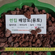 썬킴 화산석 화산사 레드 어항바닥재 돌화분마감재 10~20mm, 3L, 1개