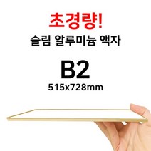 가벼운 벽걸이 액자 B2 액자, 실버