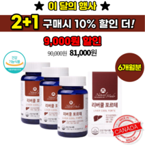 몸이 피곤할 때 간 수치 낮추는 법 간이 안 좋을 때 간 기능 저하 실리마린 효능 밀크씨슬 간 기능 개선제 만성피로 회복제 간 보호제