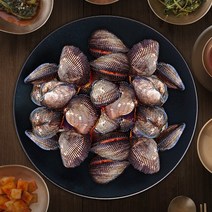 국산 남해 피조개회 피조개찜 세척 해감 피조개 2kg