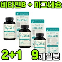 비타민 비 비군 VITAMIN B B-COMPLEX BCOMPLEX 콤플렉스 컴플렉스 복합체 복합제 바이타민 비원 B1 B2 B6 B12 마그네슘 청소년 수험생 임산부 영양제 추천, 3박스(9개월분)