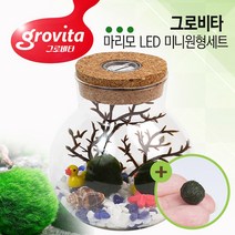 그로비타 마리모 LED 미니원형세트/마리모 키우기/모스볼 어항