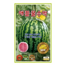 애플수박씨앗 10알 미니수박 사과수박 씨앗