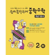 숨마쿰라우데 중학 수학 개념기본서 2-하 (2019년) : 새교육과정