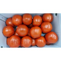 [ 매일 새벽경매 입고 ] 초신선 완숙토마토 (Tomato) 1 / 2 / 5kg 가락시장 새벽경매, (특1등급) 완숙토마토 2kg (2L-2S)