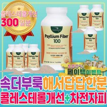 콜레스테롤 낮추는 차전자피 속더부룩할때 식이섬유 LDL HDL 나쁜 좋은 방법 잦은 방귀 트림 묽은 변 토끼똥 복부 팽만 장 가스 제거 운동 촉진 음식 영양제 젤리 건강 보조식품