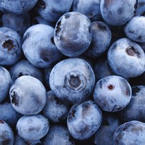 영화청과 수입 블루베리 200g 프리미엄 백화점 납품