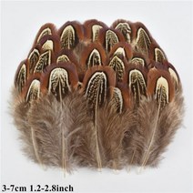 도매 천연 공작 꿩 깃털 작은 닭 거위 플라이 묶는 재료 수공예 액세서리 장식, 50 Piece, Size 3-7CM